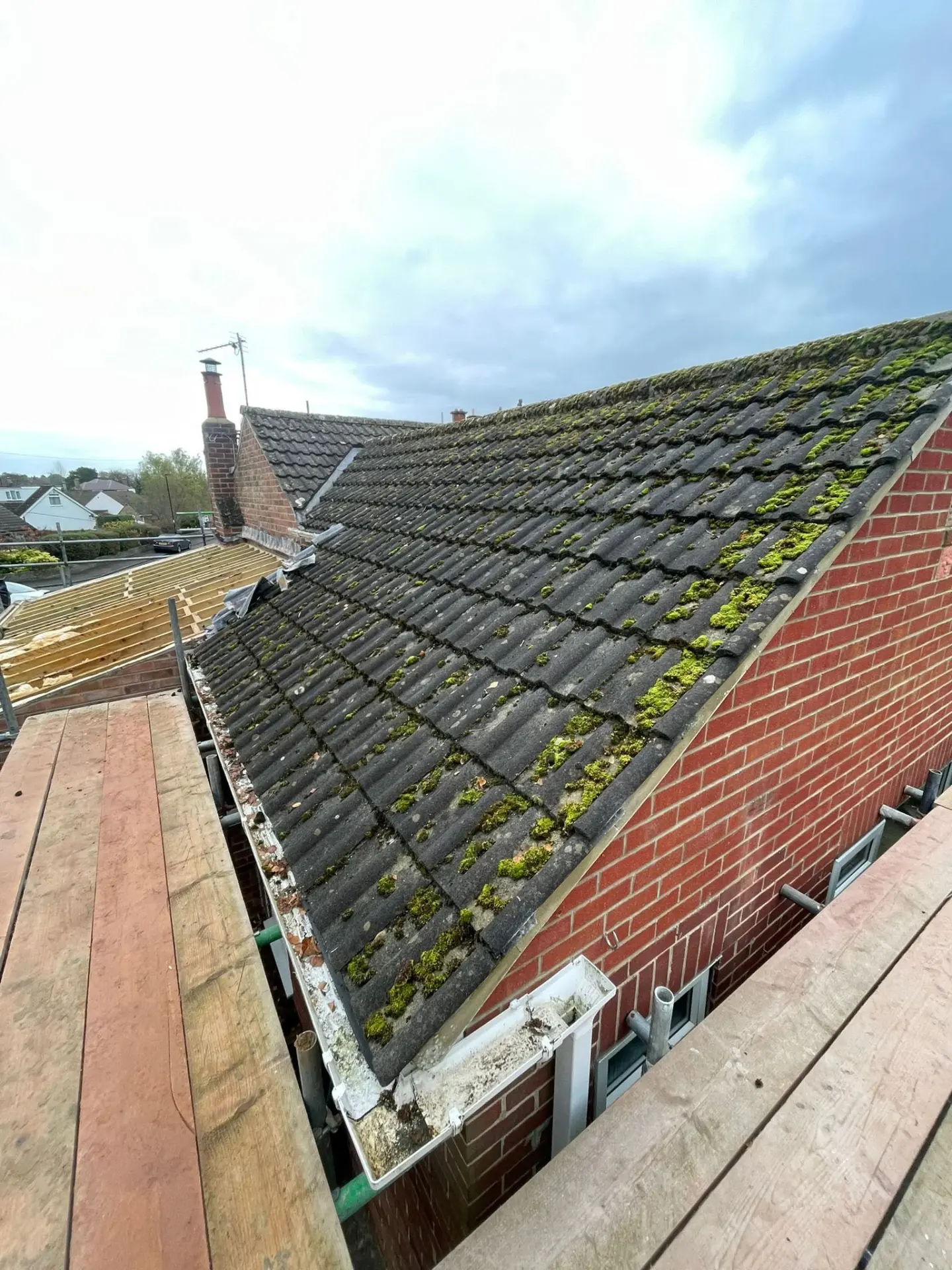 Roof before cleaning — covered in moss and lichen